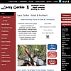 A Website Visitor
